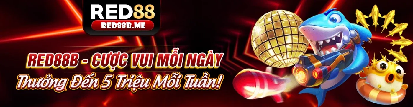 Nền tảng cá cược an toàn kjc hiện đang mở